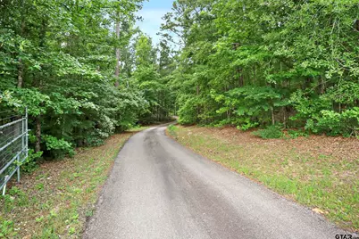 2611 State Highway 64, Ben Wheeler, TX 75754 - Photo 38