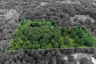 1738 White Cedar Rd, Big Sandy, TX 75755 - Photo 36