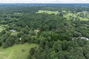 1738 White Cedar Rd, Big Sandy, TX 75755 - Photo 40