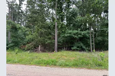 Tbd Cr 2121, Pittsburg, TX 75686 - Photo 2