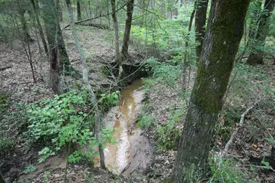 Tract 1 Tbd Vzcr 1507, Grand Saline, TX 75140 - Photo 22