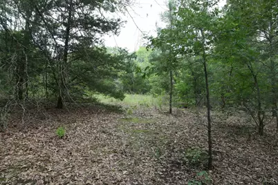 Tract 1 Tbd Vzcr 1507, Grand Saline, TX 75140 - Photo 20