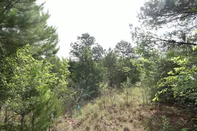 Tract 2 Tbd Vzcr 1507, Grand Saline, TX 75140 - Photo 6