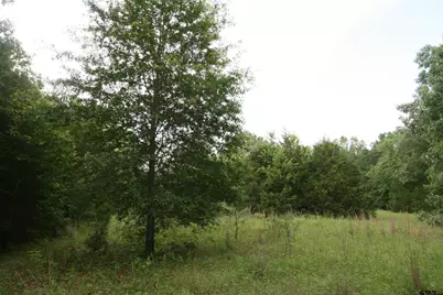 Tract 2 Tbd Vzcr 1507, Grand Saline, TX 75140 - Photo 16