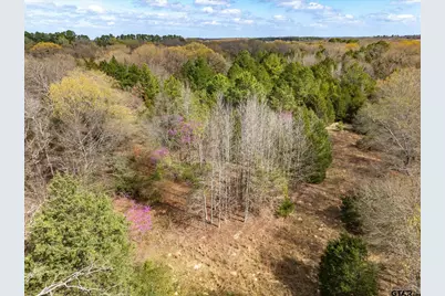 Tract 2 Tbd Vzcr 1507, Grand Saline, TX 75140 - Photo 24