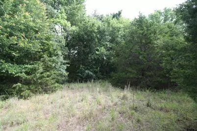 Tract 3 Tbd Vzcr 1507, Grand Saline, TX 75140 - Photo 14