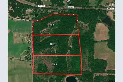 Tract 3 Tbd Vzcr 1507, Grand Saline, TX 75140 - Photo 4