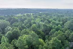 6952 FM 1990, Palestine, TX 75801 - Photo 34