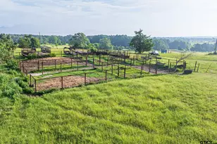 6952 FM 1990, Palestine, TX 75801 - Photo 24