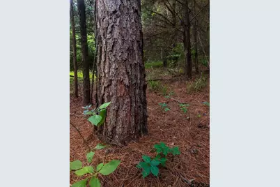 6952 Fm 1990, Palestine, TX 75801 - Photo 32