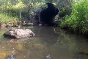 6952 FM 1990, Palestine, TX 75801 - Photo 30