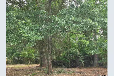 20812 Forest Grove Drive, Chandler, TX 75758 - Photo 6