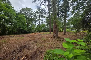 20812 Forest Grove Dr, Chandler, TX 75758 - Photo 1