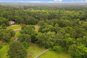 201 FM 2911, Big Sandy, TX 75755 - Photo 38