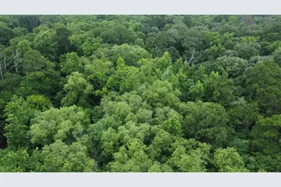 Tbd County Road 1418, Quitman, TX 75783 - Photo 12
