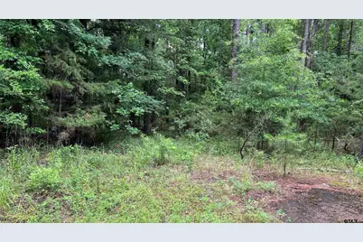 Tbd County Road 1418, Quitman, TX 75783 - Photo 16