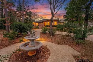 1201 Lake Cross Rd, Hideaway, TX 75771 - Photo 4