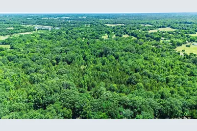 11591 S Farm Road 269, Pickton, TX 75471 - Photo 8