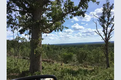 Tbd Cr 1816, Jacksonville, TX 75766 - Photo 12