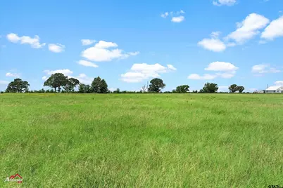 Tbd Cr 1816, Jacksonville, TX 75766 - Photo 6