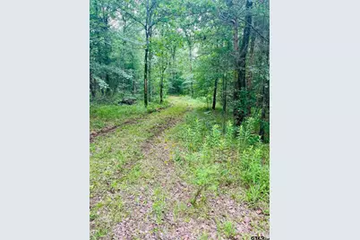 950 Vz County Road 1919, Fruitvale, TX 75127 - Photo 6