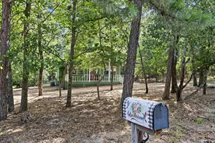 149 Primrose Path, Holly Lake Ranch, TX 75765 - Photo 6