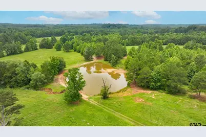 9822 Nasturtium Rd, Ore City, TX 75683 - Photo 10