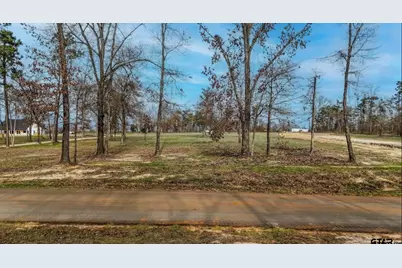 Tbd Cr 2123, Whitehouse, TX 75791 - Photo 30