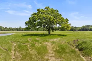 Lot A Cr 3324, Pittsburg, TX 75686 - Photo 1