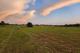 7720 Fm 317, Athens, TX 75752 - Photo 1