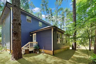 144 Pine Branch Glen, Holly Lake Ranch, TX 75765 - Photo 30