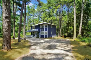 144 Pine Branch Glen, Holly Lake Ranch, TX 75765 - Photo 28