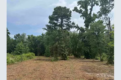 3162 Shadow Pine Dr, LaRue, TX 75770 - Photo 1