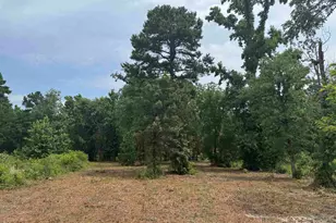 3162 Shadow Pne Dr, LaRue, TX 75770 - Photo 1