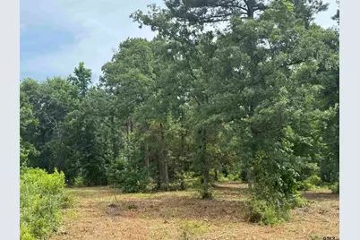 3162 Shadow Pine Dr, LaRue, TX 75770 - Photo 2