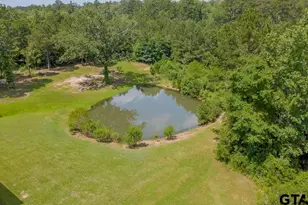 636 W Roberson Rd, Hallsville, TX 75650 - Photo 8