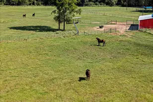 5989 Hwy 259, Diana, TX 75640 - Photo 38