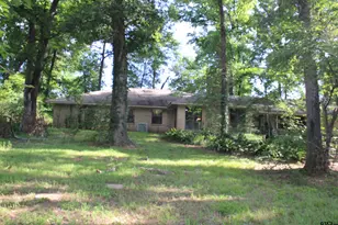 20312 S Hwy 69, Tyler, TX 75703 - Photo 4