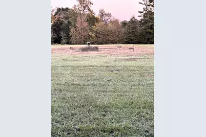 503 SE Cr 4380, Scroggins, TX 75480 - Photo 12