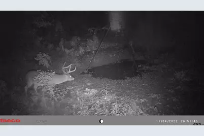 Tbd 18.77 Acres Fm 279, Chandler, TX 75758 - Photo 1