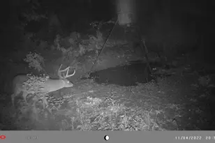 Tbd 18 77 Acres Fm 279, Chandler, TX 75758 - Photo 1