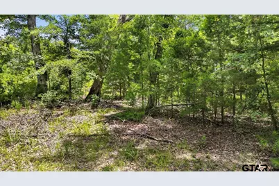 Tbd Cr 3289, Quitman, TX 75783 - Photo 8