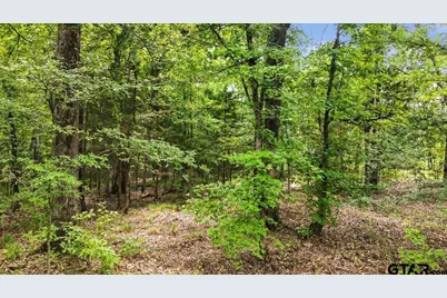 Tbd Cr 3289, Quitman, TX 75783 - Photo 10