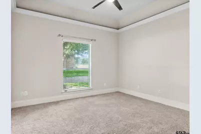 225 Chester Drive, Canton, TX 75103 - Photo 24