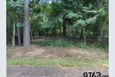 0000 Flamingtree Way, Flint, TX 75762 - Photo 2