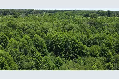 401 County Road 2920, Golden, TX 75444 - Photo 1