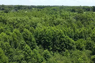 401 Co Rd 2920, Golden, TX 75444 - Photo 1