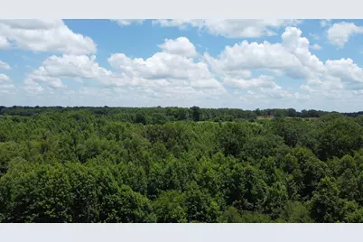 401 County Road 2920, Golden, TX 75444 - Photo 2