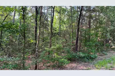 401 County Road 2920, Golden, TX 75444 - Photo 12