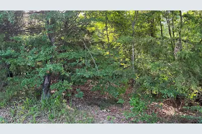 401 County Road 2920, Golden, TX 75444 - Photo 14